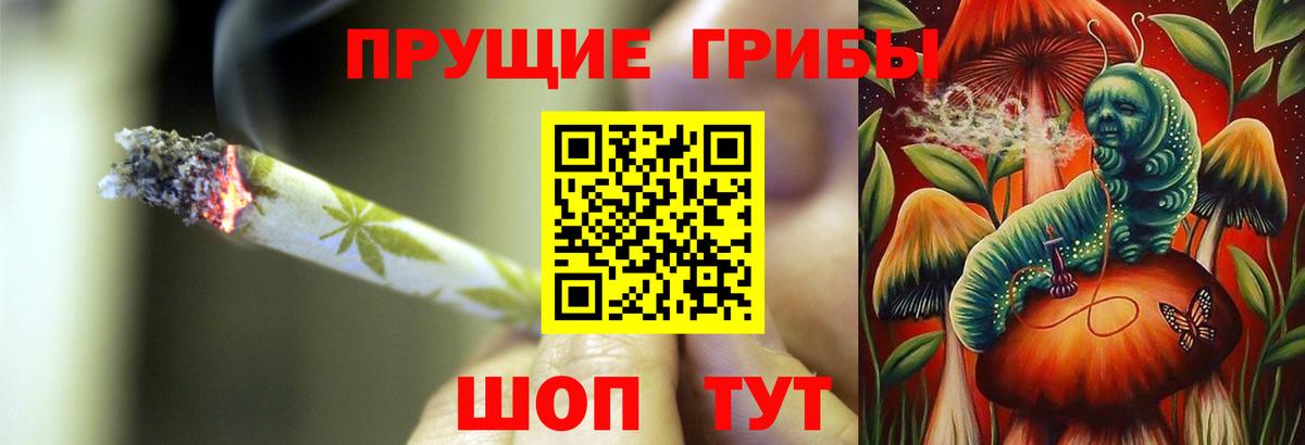 Псилоцибиновые грибы прущие грибы Холмск